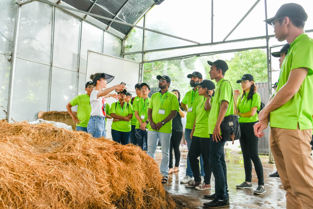 A learning visit to Mahota Farm at Chongming Island exposes participants to the farm’s composting process using recycled agricultural waste, in line with Mahota’s mission of running a carbon neutral farm